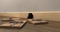 Three Mousetraps Outside A Hole Royalty Free Stock Photo
