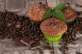 Three muffins with a green sprig