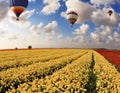 Three multi-color balloons flies