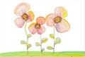 Three multicolor flowers grow in a field. Watercolor drawing