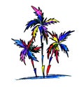 Three colorful palm trees on a white background Royalty Free Stock Photo