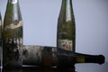 Three Murfatlar wine bottles very old Royalty Free Stock Photo