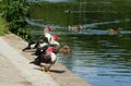 Three Muscovy Duck`s on edge of pond.
