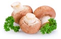 Three mushroom and green leaves of parsley isolated on white background Royalty Free Stock Photo