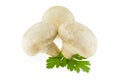 Three mushrooms with parsley Royalty Free Stock Photo