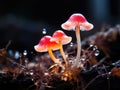 Three mushrooms are standing on a branch with water droplets. Generative AI image.