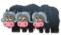 Three muskoxen theme image 1 Royalty Free Stock Photo