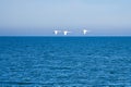 three mute swans in flight over the Baltic Sea. White plumage in the large birds Royalty Free Stock Photo