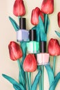 Three nail polish bottles: green, purple and pink with fresh spring red tulip flowers on a yellow background