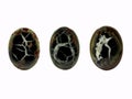 Natural African Septarian Stones