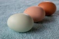 Three Naturally Colorful Chicken Eggs Close up