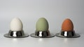 Three nature colored eggs in a egg cup