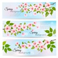 Three nature spring banners with blossoming cherry. Royalty Free Stock Photo