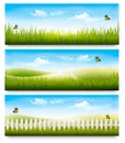 Three nature summer meadow landscape banners with grass Royalty Free Stock Photo