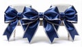 Three Navy Blue Ribbon Bows with Silver Trim on Silver Stands Isolated Royalty Free Stock Photo