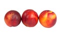 Three nectarine Royalty Free Stock Photo