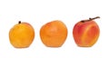 Three nectarine Royalty Free Stock Photo