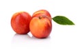 Three nectarines with leaf isolated on white Royalty Free Stock Photo