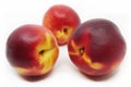 Three nectarines on white background