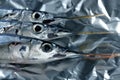 Three needle fish, uncooked macro studio shot