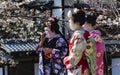 Three nice woman in Maiko kimono dress