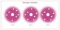 Nitrogen isotopes in atomic structure