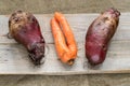 Three non-standard ugly vegetables are lying on grey wooden planks on burlap.