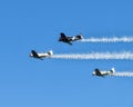 Three North American Aviation T-6 flying over Duck Creek with other Warbirds prior to the traditional fireworks display.