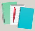 Three notepads and a pen.