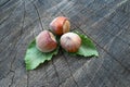 Three nuts hazelnuts with leaves