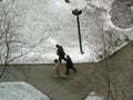 Three office workers walking through snowy park.