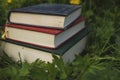 Old books on the grass Royalty Free Stock Photo