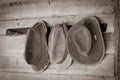 Three old hats on hatrack on outside wooden wall Royalty Free Stock Photo