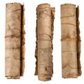 Three old scrolls tied with string displaying aged paper Royalty Free Stock Photo