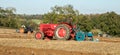 Three old vintage red and blue tractors ploughing