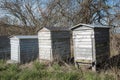 Three old wornout beehives in the first springtime sunshine