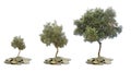 Olive trees growing from pile of coins Royalty Free Stock Photo
