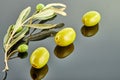 Three olives with olive tree branch with fruits lying on a gray background Royalty Free Stock Photo