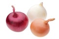 Three onion bulbs