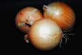 Three onion bulbs on a black background