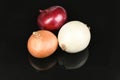 Three onion bulbs of different colors (red, yellow and white) isolated on acrylic black background