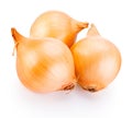 Three onion bulbs isolated on white background