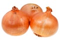 Three onion bulbs