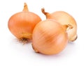 Three onion bulbs isolated on white background