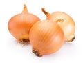 Three onion bulbs on white background