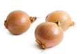 Three onions Royalty Free Stock Photo