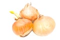 Three onions closeup on white Royalty Free Stock Photo