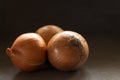 Three Onions on Counter Top Royalty Free Stock Photo