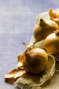 Three onions on hessian against a blue background with copy space.