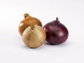 Three red and white onions Royalty Free Stock Photo